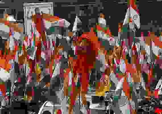 baba ramdev